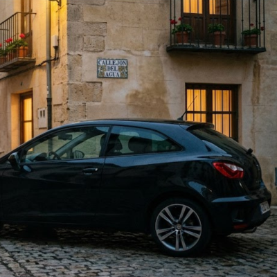 Seat Ibiza FR